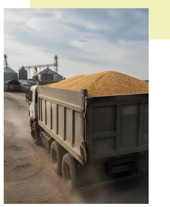 Перевозка сельхозпродукции навалом в Нижневартовск по цене от 3108 р. | Агросервис-Нжт